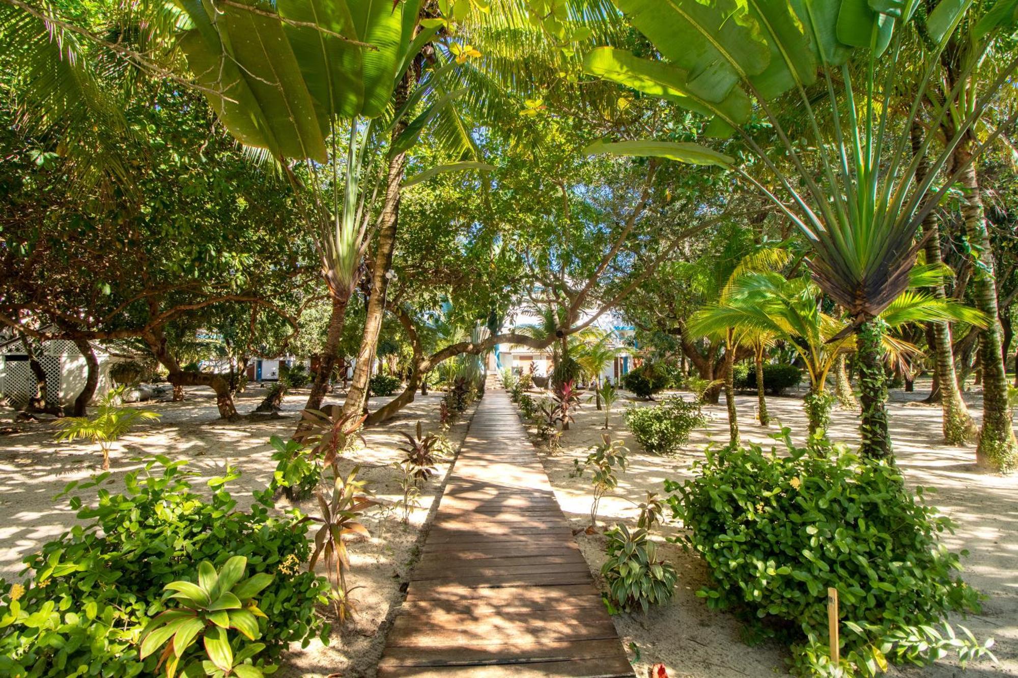 Beachside Villas Gold Standard Certified Placencia Pokoj fotografie