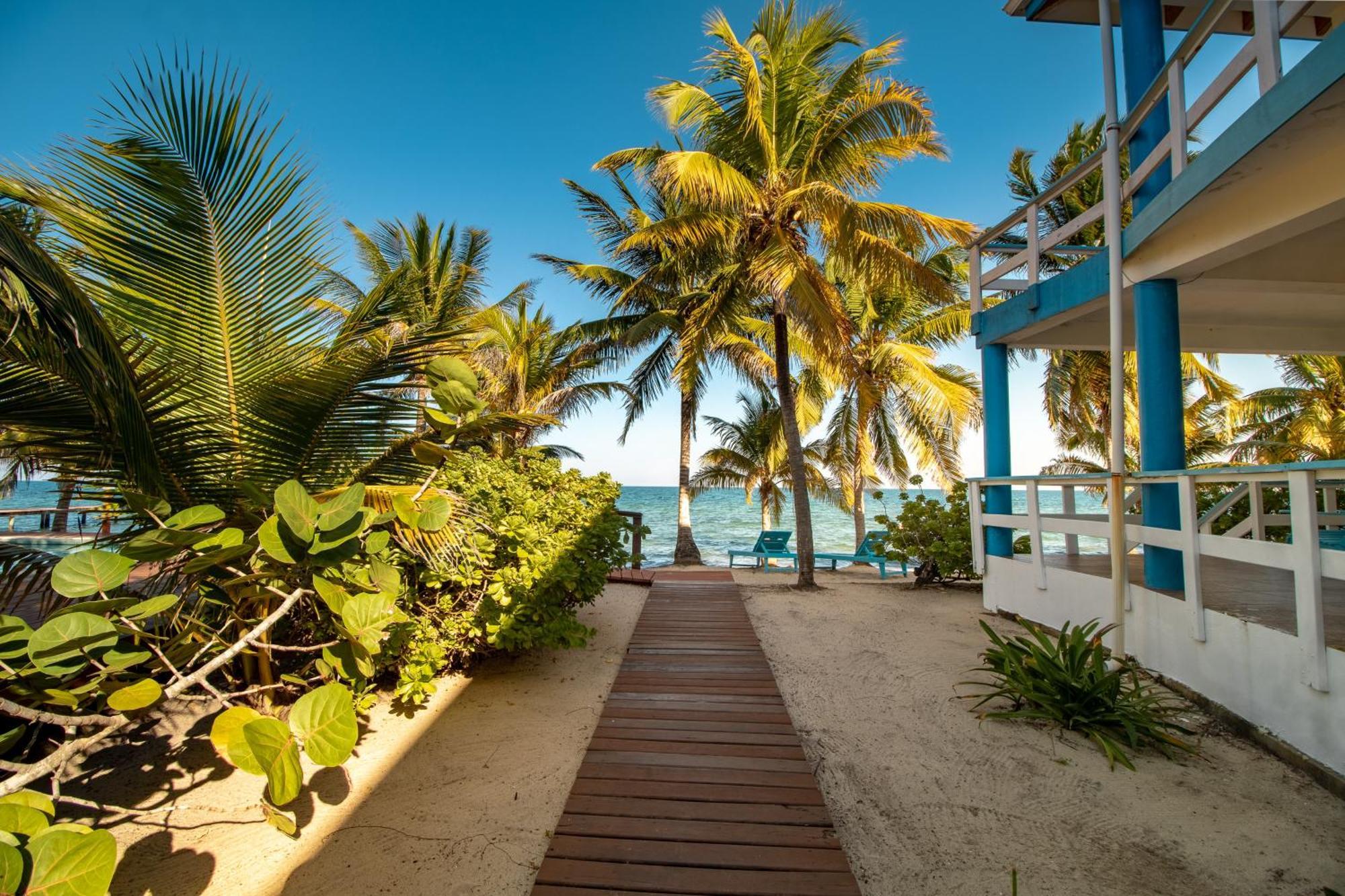 Beachside Villas Gold Standard Certified Placencia Pokoj fotografie