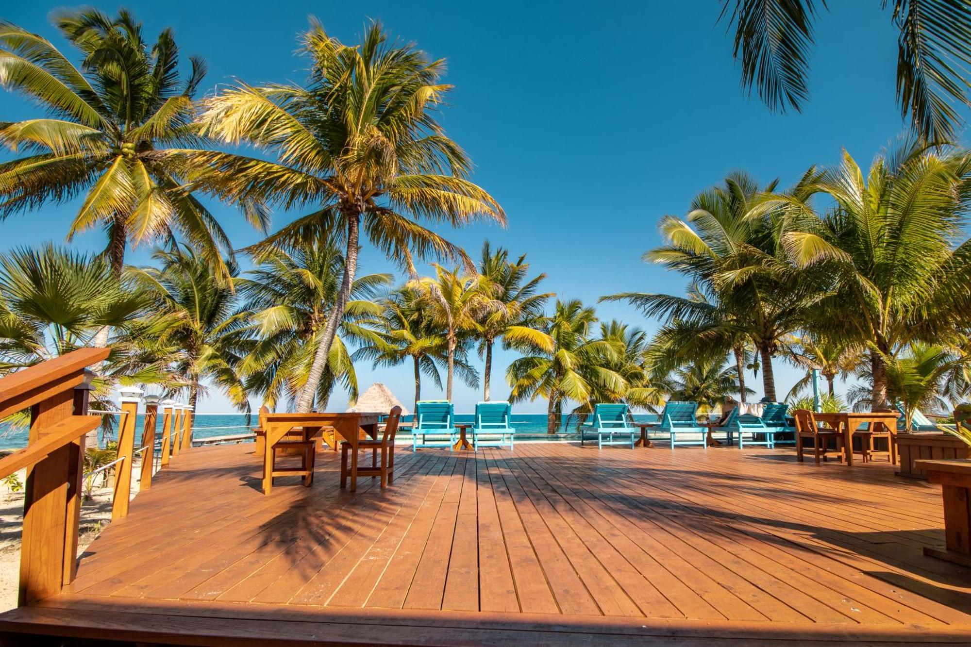 Beachside Villas Gold Standard Certified Placencia Pokoj fotografie