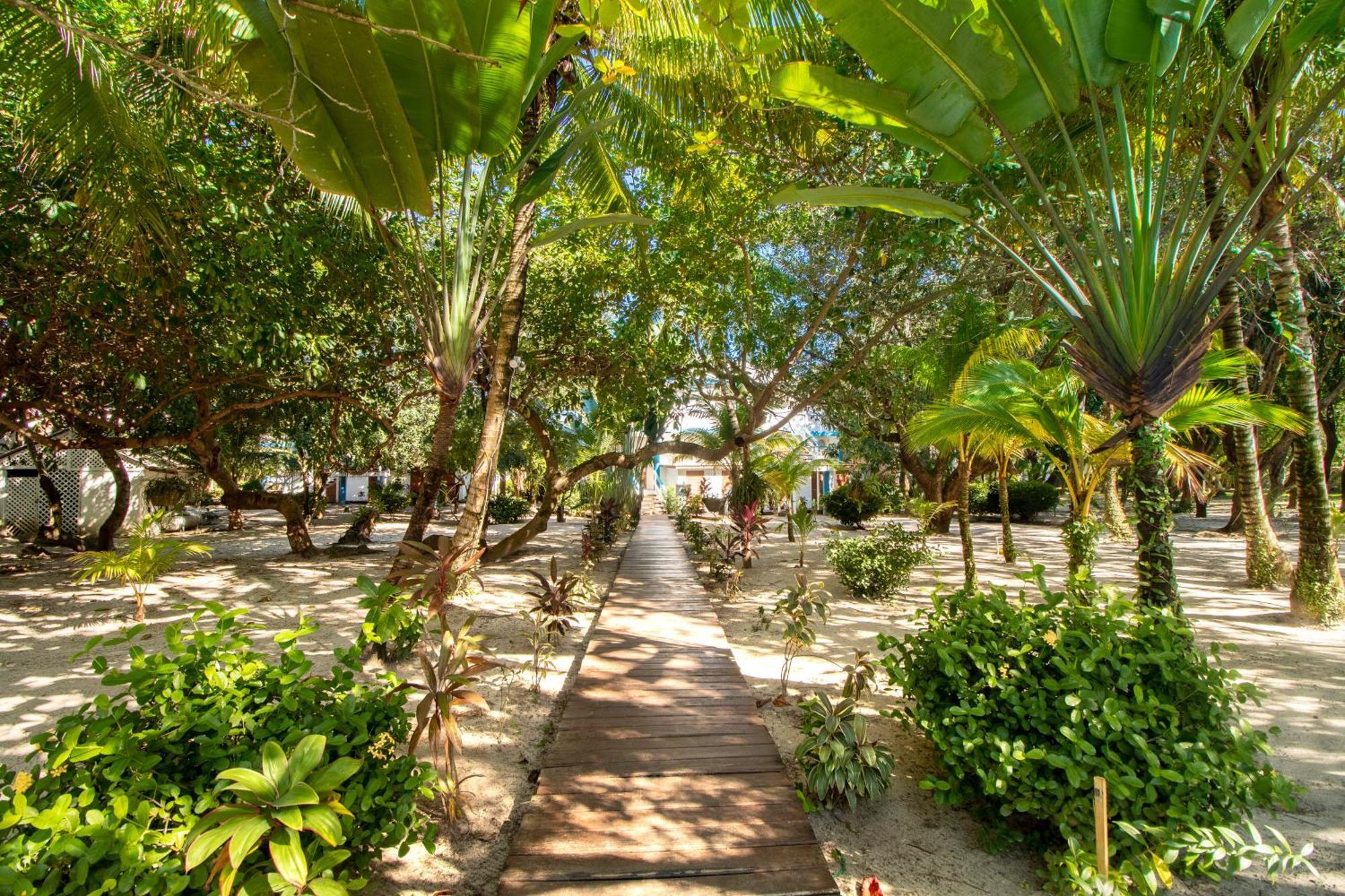 Beachside Villas Gold Standard Certified Placencia Pokoj fotografie