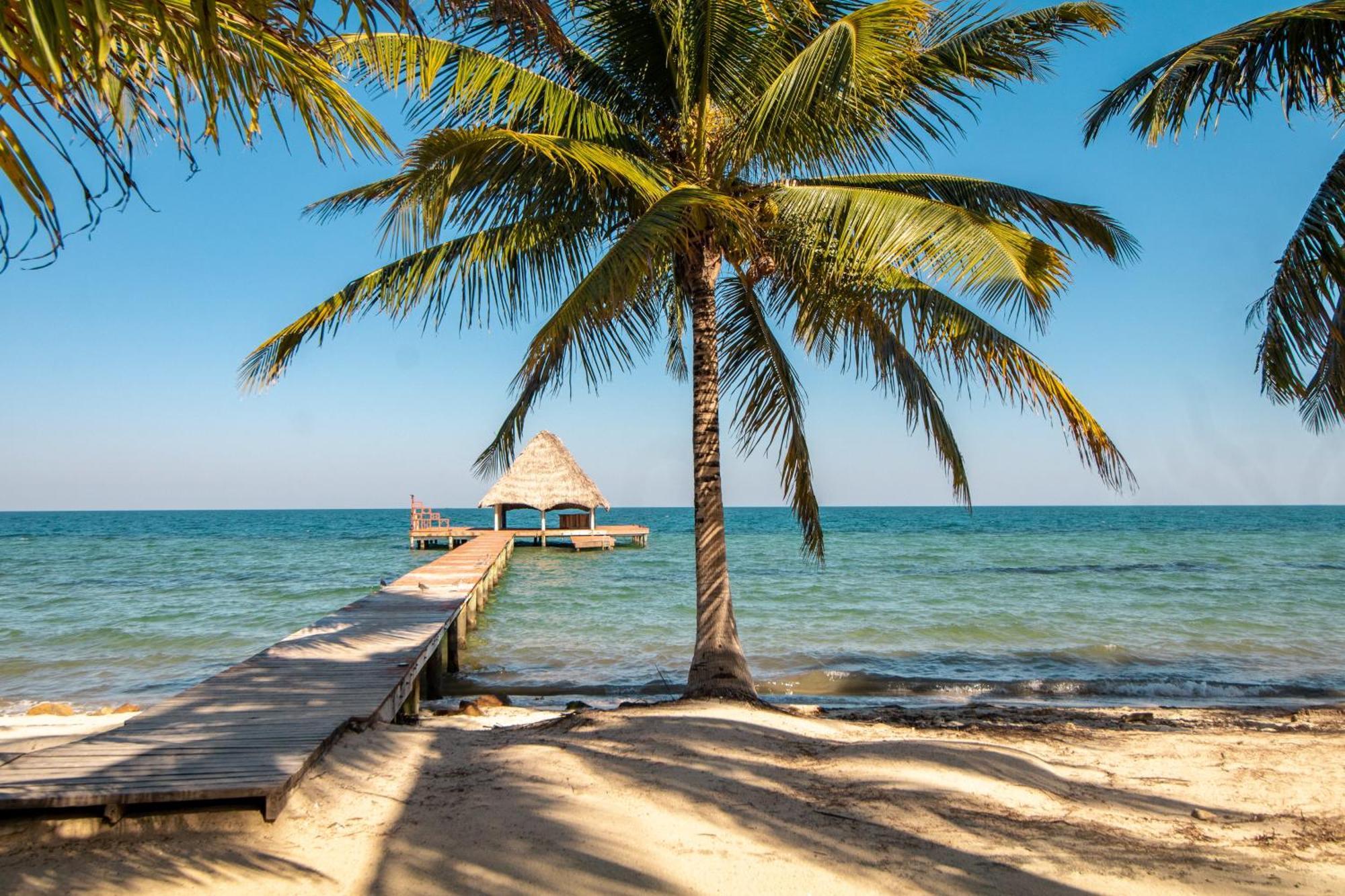 Beachside Villas Gold Standard Certified Placencia Pokoj fotografie